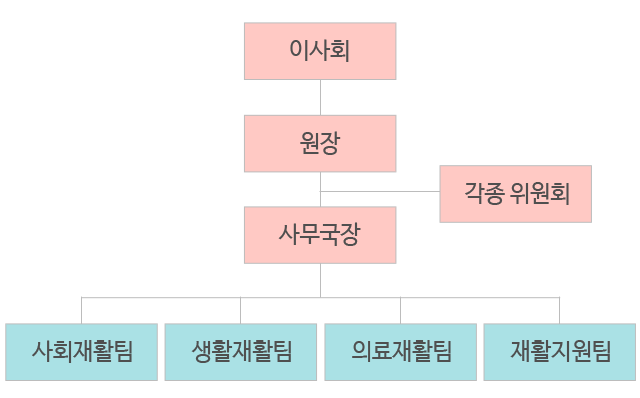 이사회, 원장, 각종위원회, 사무국장, 사회재활팀, 생활재활팀, 의료재활팀, 재활지원팀